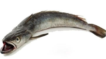 HAKE