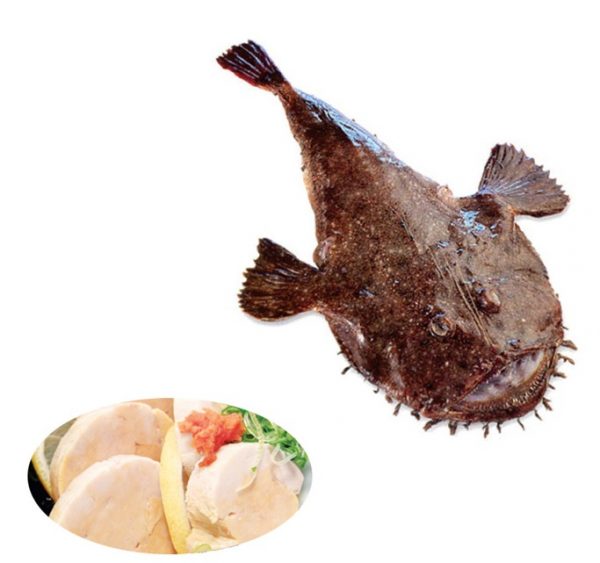 Monkfish