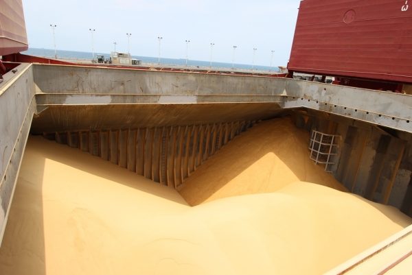 Raw Brown Cane Sugar - Image 3