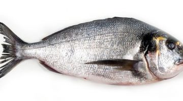 SEA-BREAM