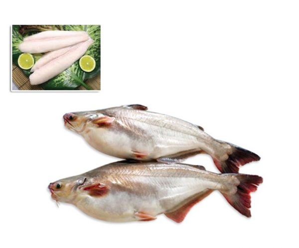 IQF White Pangasius