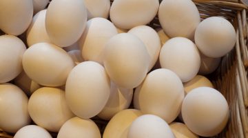 Basket OF Fresh Eggs