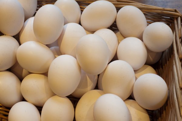 FRESH TABLE EGGS WHITE/BROWN/HATCHING EGGS