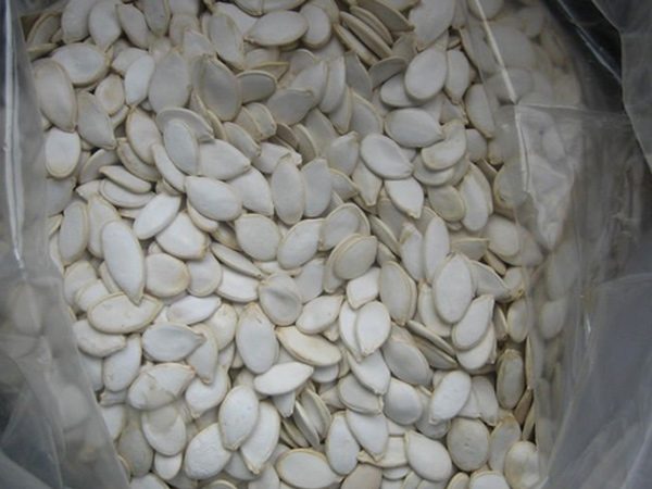 snow white Pumpkin seed