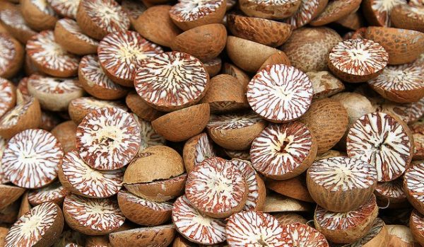 Betel Nuts - Image 4