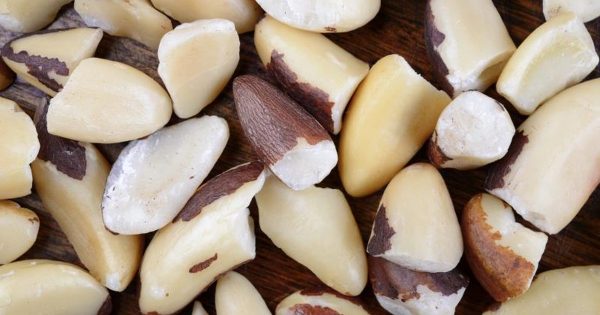 Brazil Nuts
