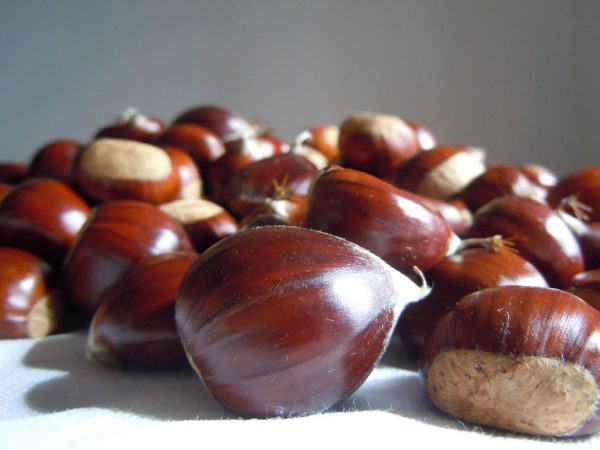 Chestnuts
