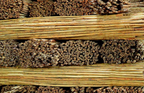 Cinnamon - Image 3