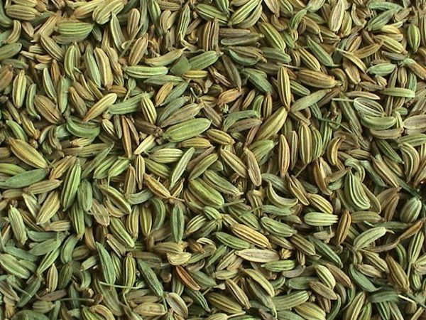 Fennel Seeds - Image 3