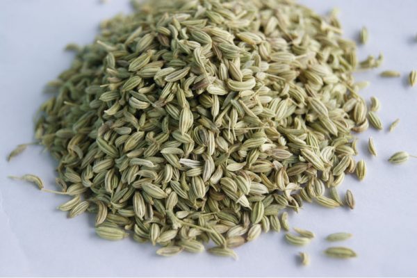 Fennel Seeds