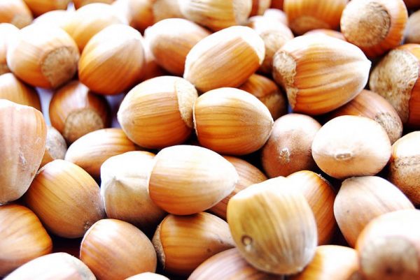 Hazelnuts