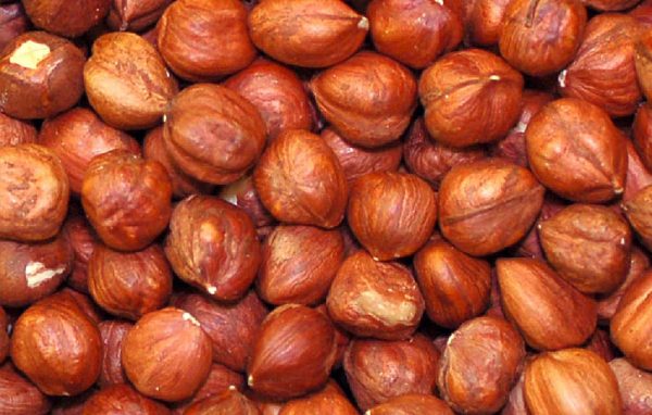 Hazelnuts - Image 4