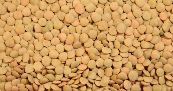 Lentils - Image 6