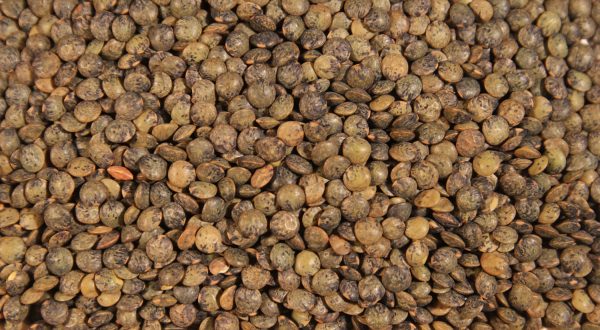 Lentils - Image 4