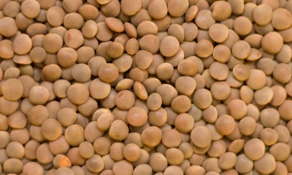 Lentils - Image 3