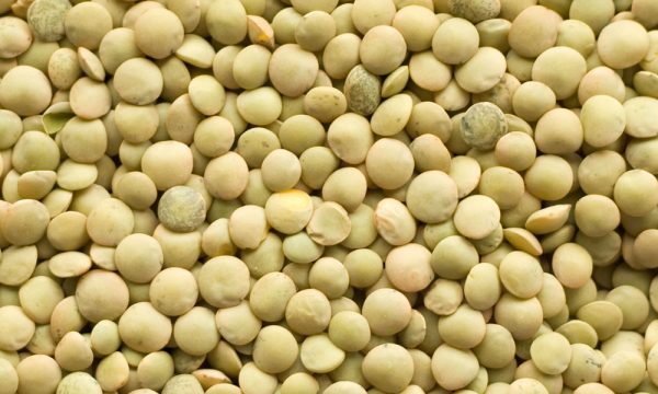Lentils - Image 2