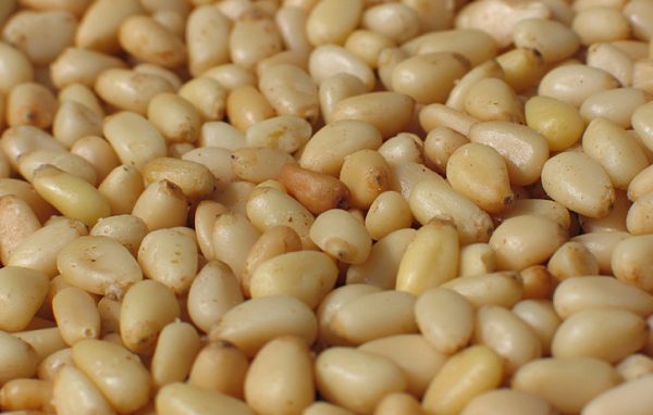 Pine Nuts - Image 2