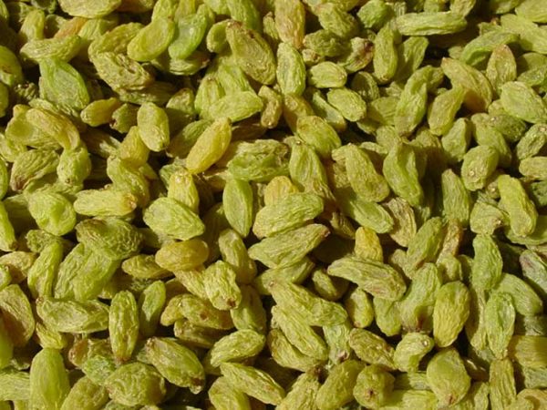 Raisins - Image 5