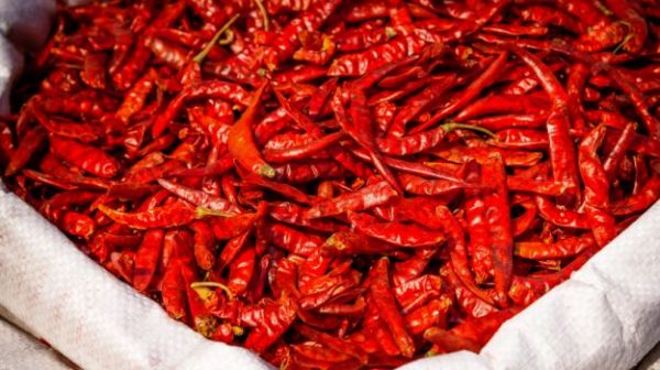 Red Chilli - Image 3