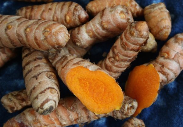 Turmeric - Image 4