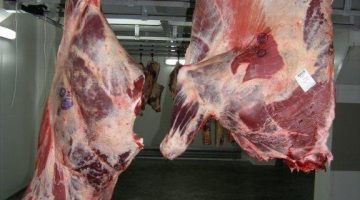 beef2