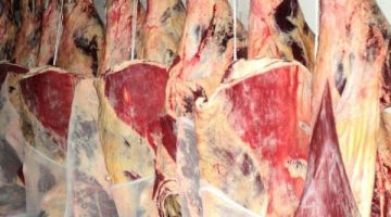 beef3-600x600