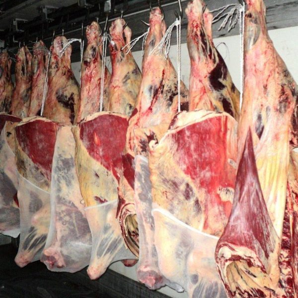 Cow Beef Quarters
