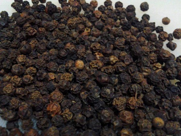 Black Pepper - Image 3