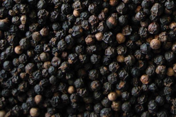 Black Pepper - Image 2