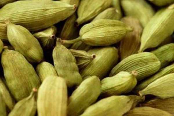Cardamom - Image 2