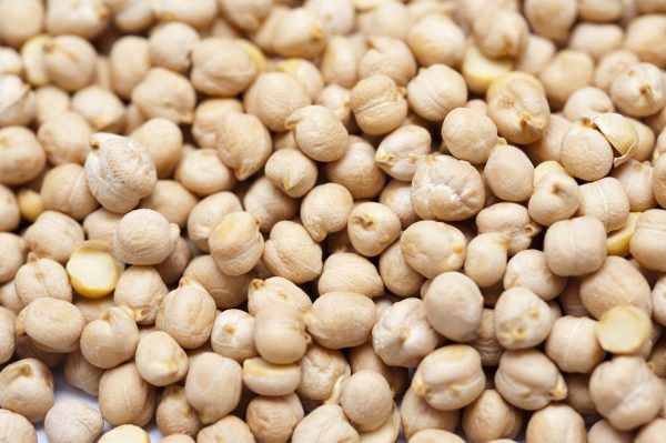 Chickpea - Image 3