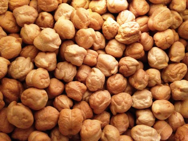 Chickpea - Image 2