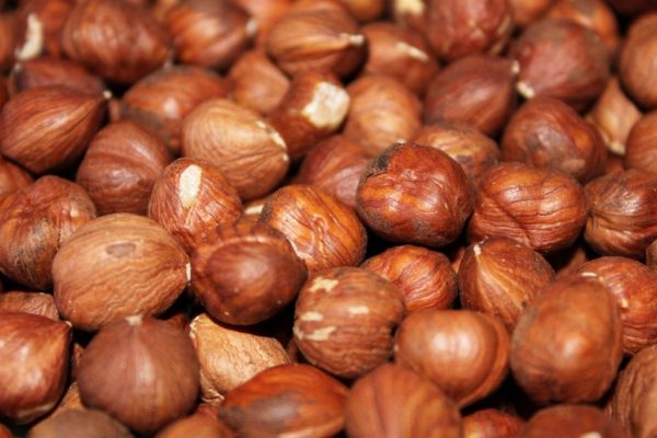 Hazelnuts - Image 3