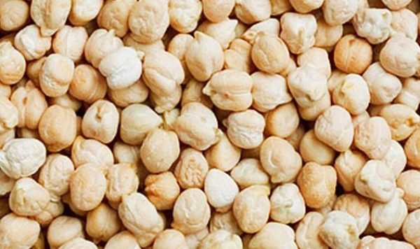 Chickpea