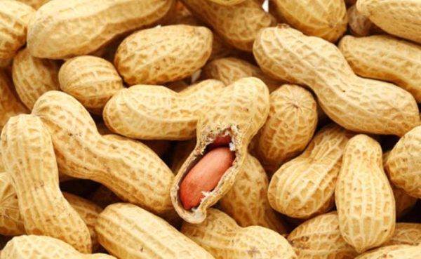Peanuts - Image 4