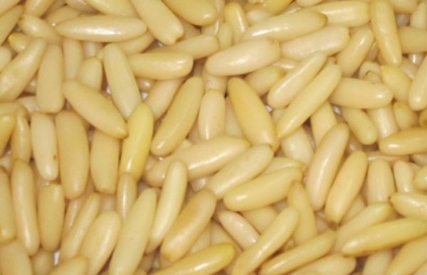 Pine Nuts
